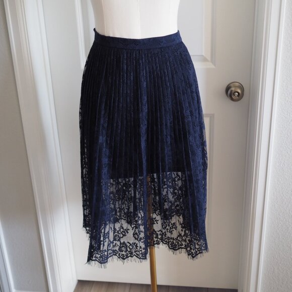 Dark Academia Gothic Romantic Partially Sheer Navy Lace Midi Skirt Whimsigoth - Picture 5 of 11